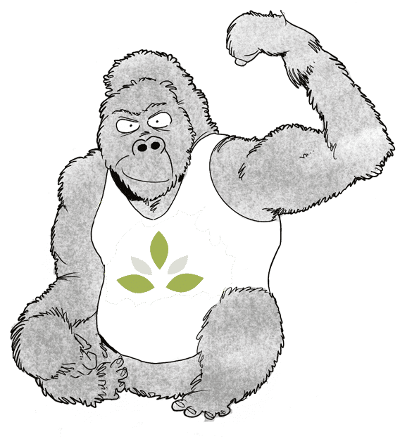 GorillaGreen – Logo: Gorilla mit Blatt-Emblem auf der Brust